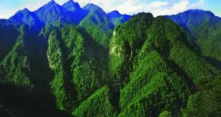 

4PCS Green plastic wheel hub 1.9" Rubber Rock Tyres Wheel Tires for 1:10 RC Crawler Car Axial SCX10 90046 AXI03007 TRX4 Redcat