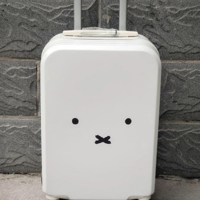

Small suitcase, cute for travel