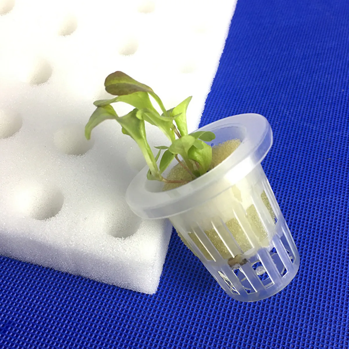 

5 шт. квадратных губчатых блоков для рассады, гидропонные кубики для теплиц, ферм, садов, для выращивания без почвы, высокоабсорбирующий полимер