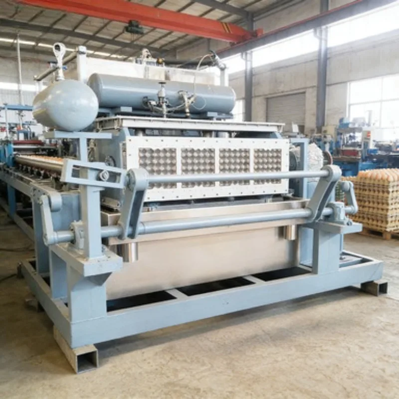 Low Cost Egg Tray Machine Waste Paper Recycling for Low Budget Packaging Production