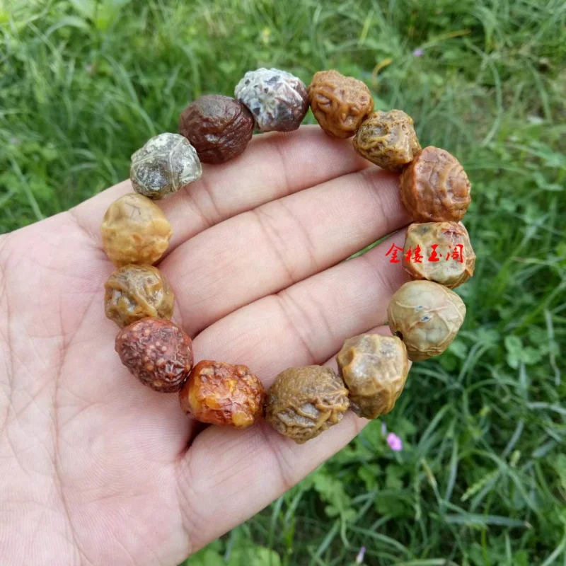 Jewelry Alashan Gobi Material Rough Tendon Stone Sugar Heart Raisin Agate Bracelet Wholesale