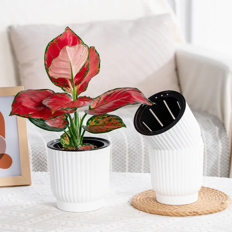Creative Succulent Planter Automatic Water Absorption Lazy Person Special Resin Plastic Hydroponic Green Plant Pot Planter