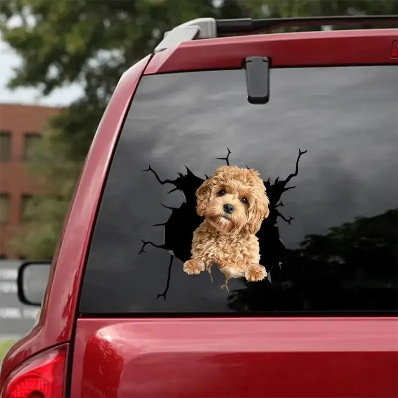 Poodle Decal - fits cars,Windows,Laptops and any smooth surface, Poodle Stickers,Custom Poodle Stickers, Custom Dog, Custom Pood