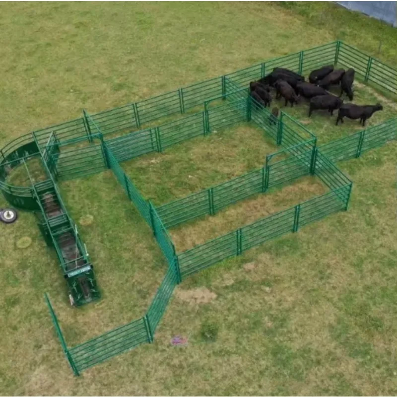 Customization Livestock Equipment Cattle Fence Cow Farm Equipment