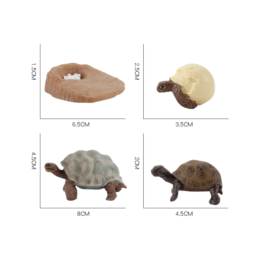 Realistic Sea Turtle Tortoise Reptile Animal Figurines Life Cycle Biological Models Figure Toy Party Decorations Toys kids Gifts