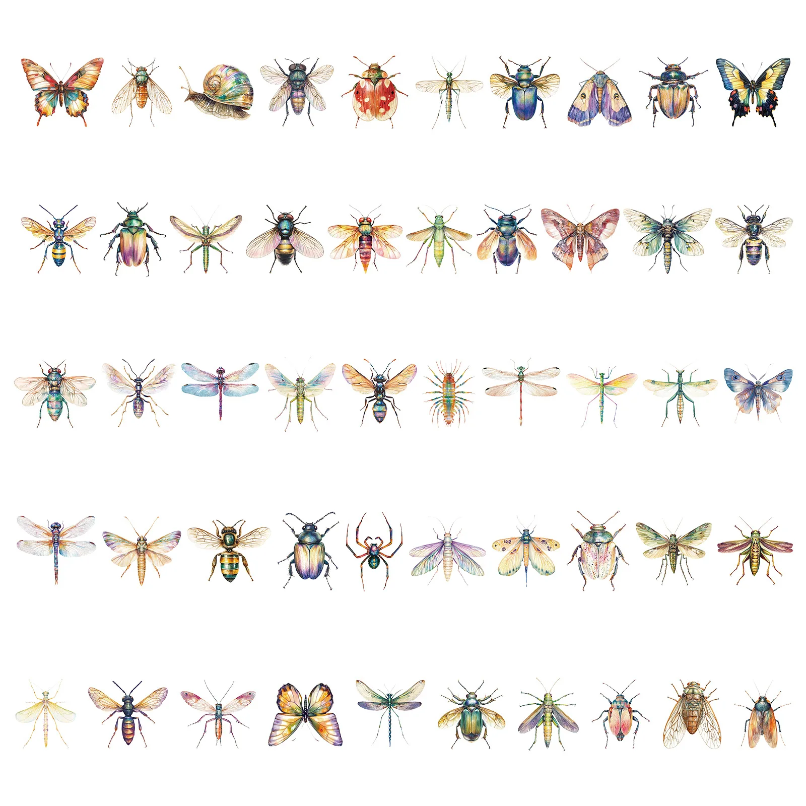 สติกเกอร์แมลงการ์ตูนน่ารัก 50 ชิ้น วัสดุ PET สำหรับของเล่น DIY กระเป๋าเดินทาง แล็ปท็อป กีตาร์ สเก็ตบอร์ด เคสมือถือ จักรยาน รถยนต์