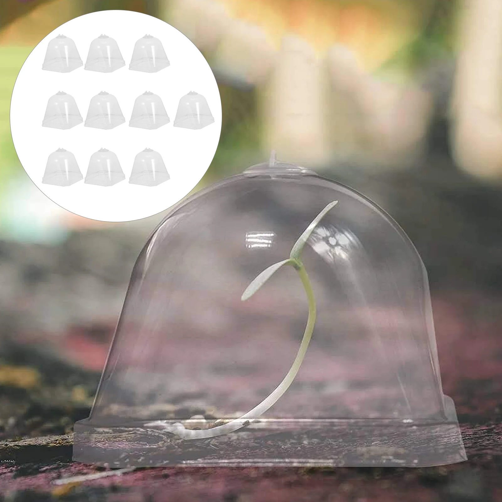 

Flower Pot Seedling Cover Plant Nourishment Space Growth Observation Plastic Protector Mini Plants Cloche Protective