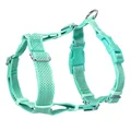 Turquoise green