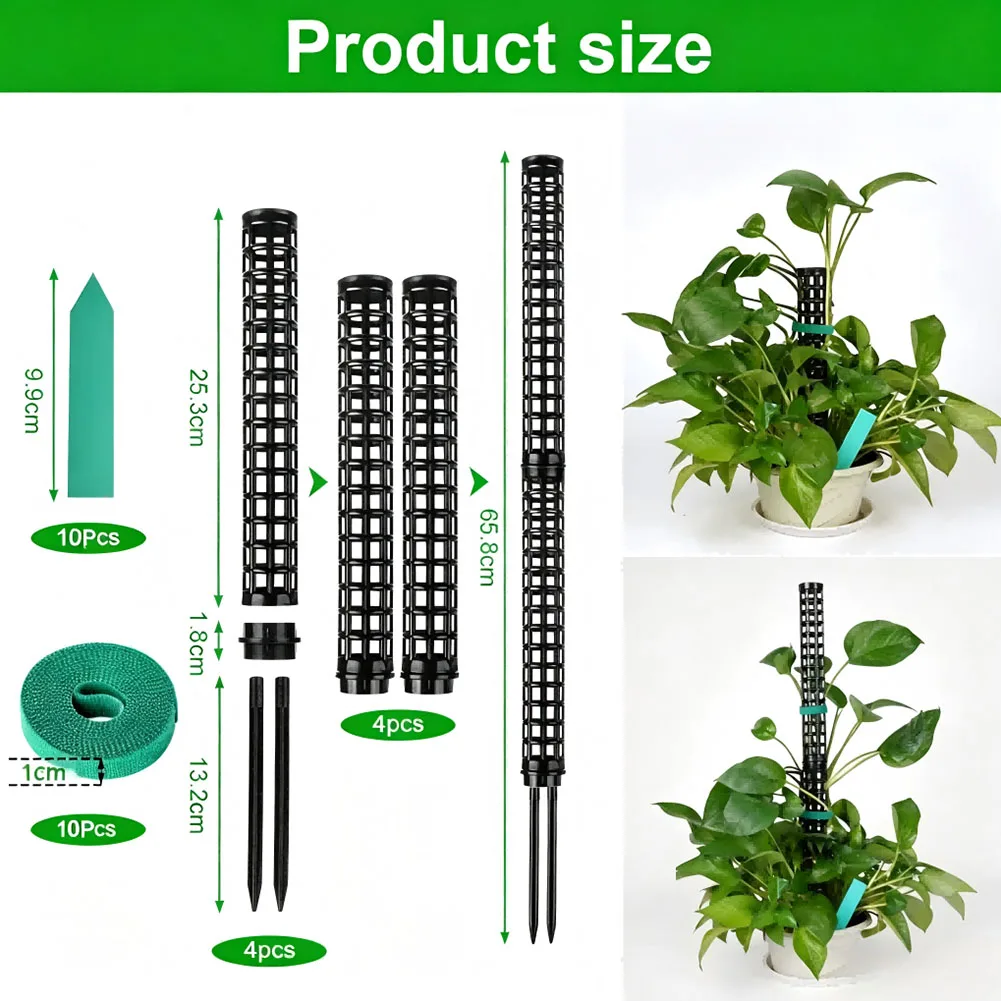 Plastic Plant Support System for Climbing Plants Offers Steady Holding Force Without Restricting Natural Growth Patterns