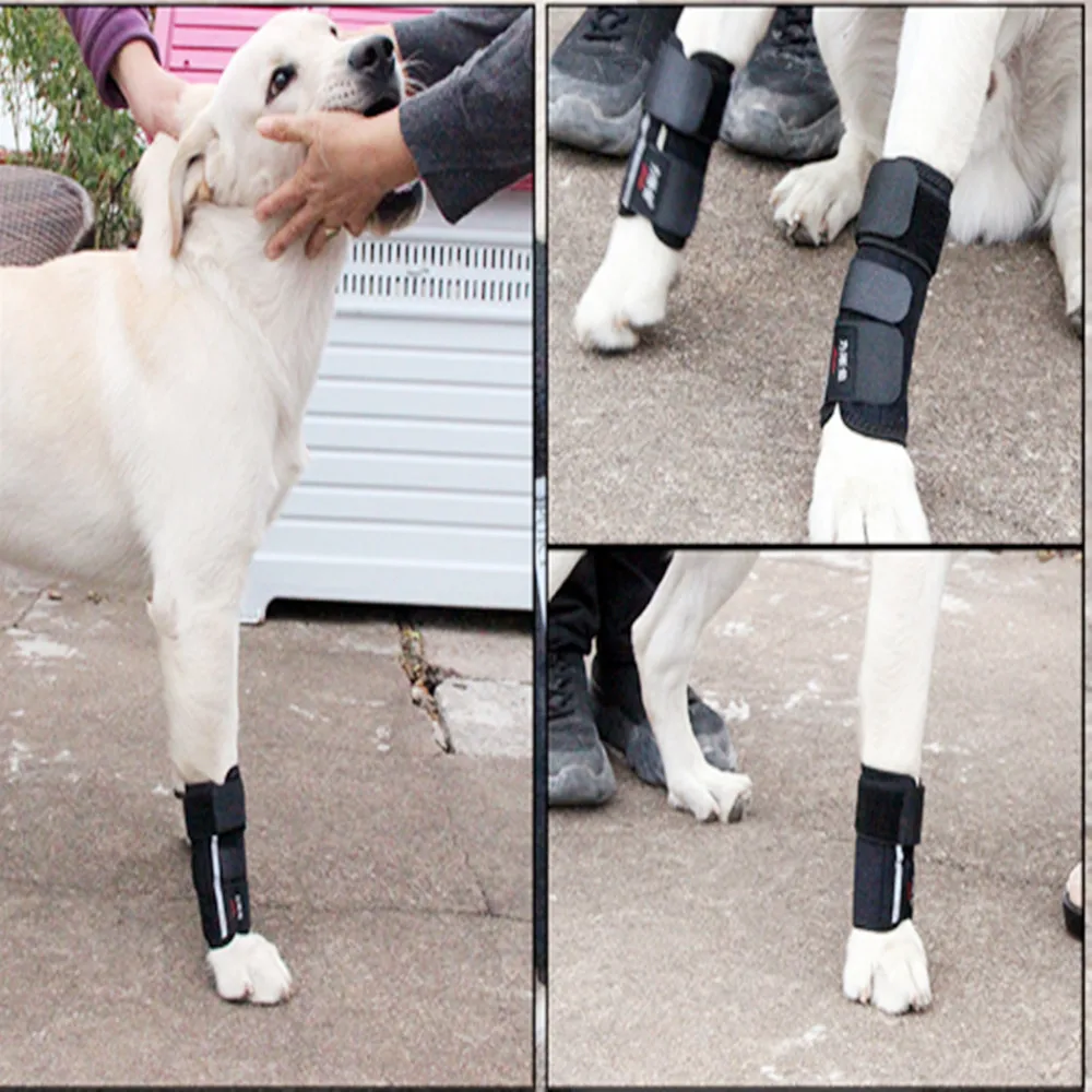 Dog Injurie Leg Knee Brace Strap Dog Fracture Fixation Splint Protect Joint Leg Guards Lying Hoof O-Leg Correction Cat Sprain