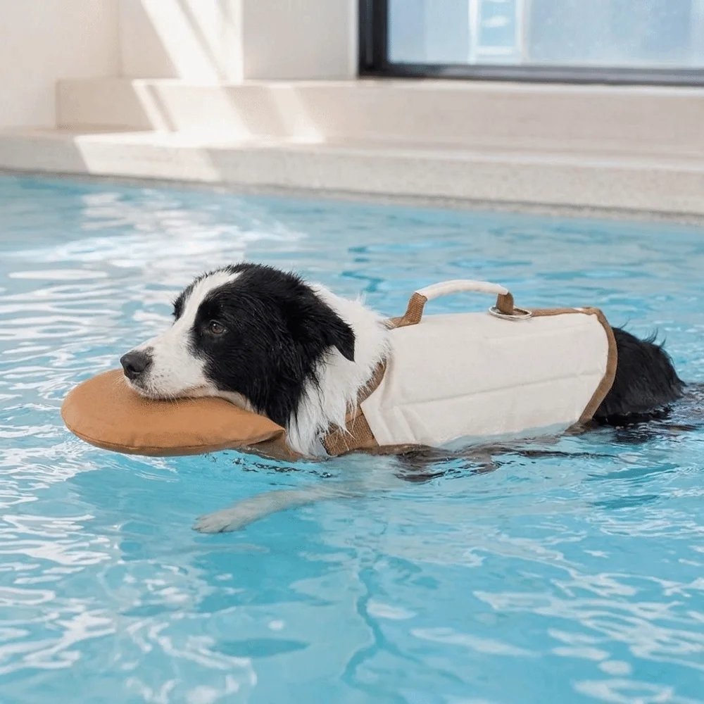 Thumbnail 3 - #63 Waterproof Dog Jackets Comparison Guide