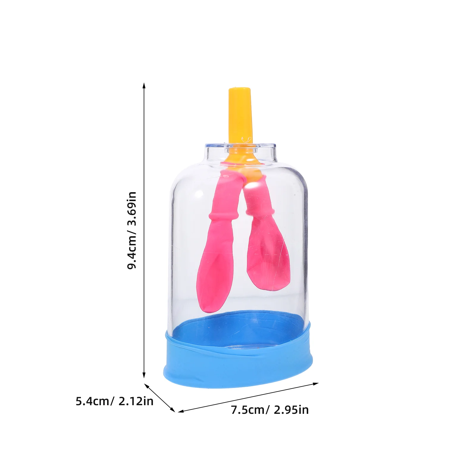 Modèle de ories pulmonaire pour l'éducation, affichage de la santé fuchsia, fournitures d'expérimentation pour les étudiants, sensibilisation aux organes du corps humain