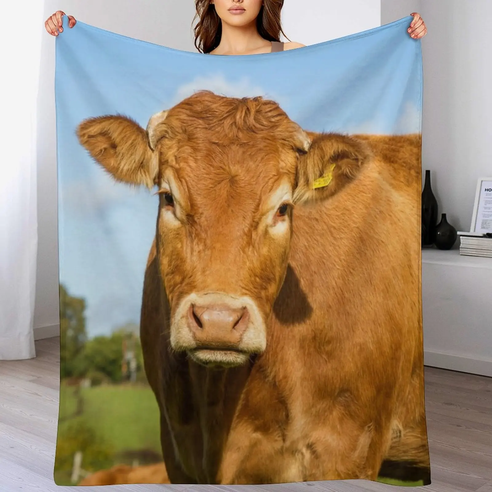 

Limousin Cow Throw Blanket Thin Soft Flannels blankets ands Blankets