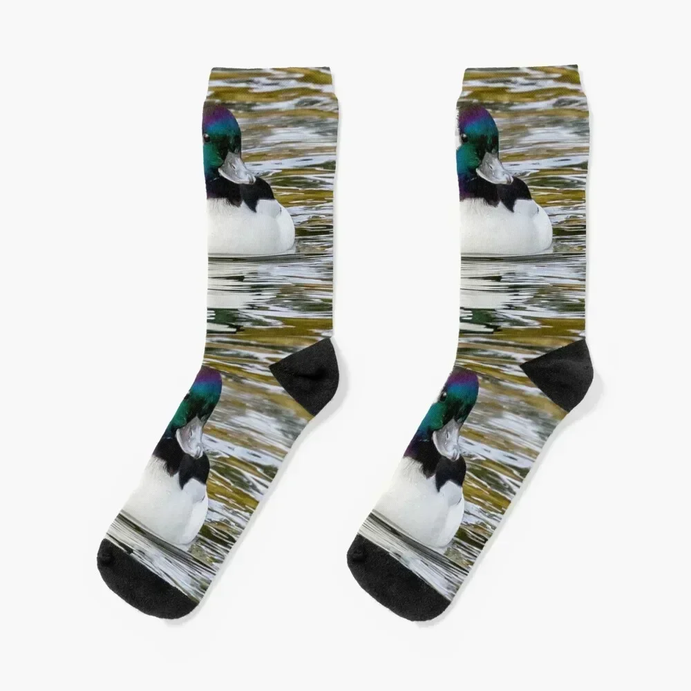 

Bufflehead Socks cartoon hiphop golf gym Ladies Socks Men's