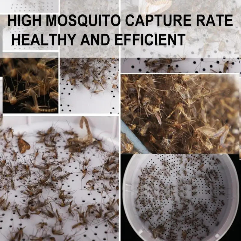 Electric Mosquito Killer Lamp Home Bedroom Photocatalyst USB Fly Killer Mosquito Repellent LED Light Mute Mosquito Trap Lamp