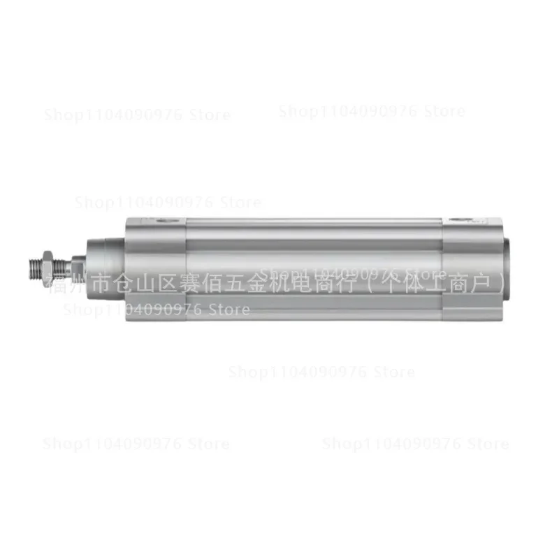 DSBC-100-100-PPVA-N3 DSBC-100-40-PPVA-N3 standard cylinder