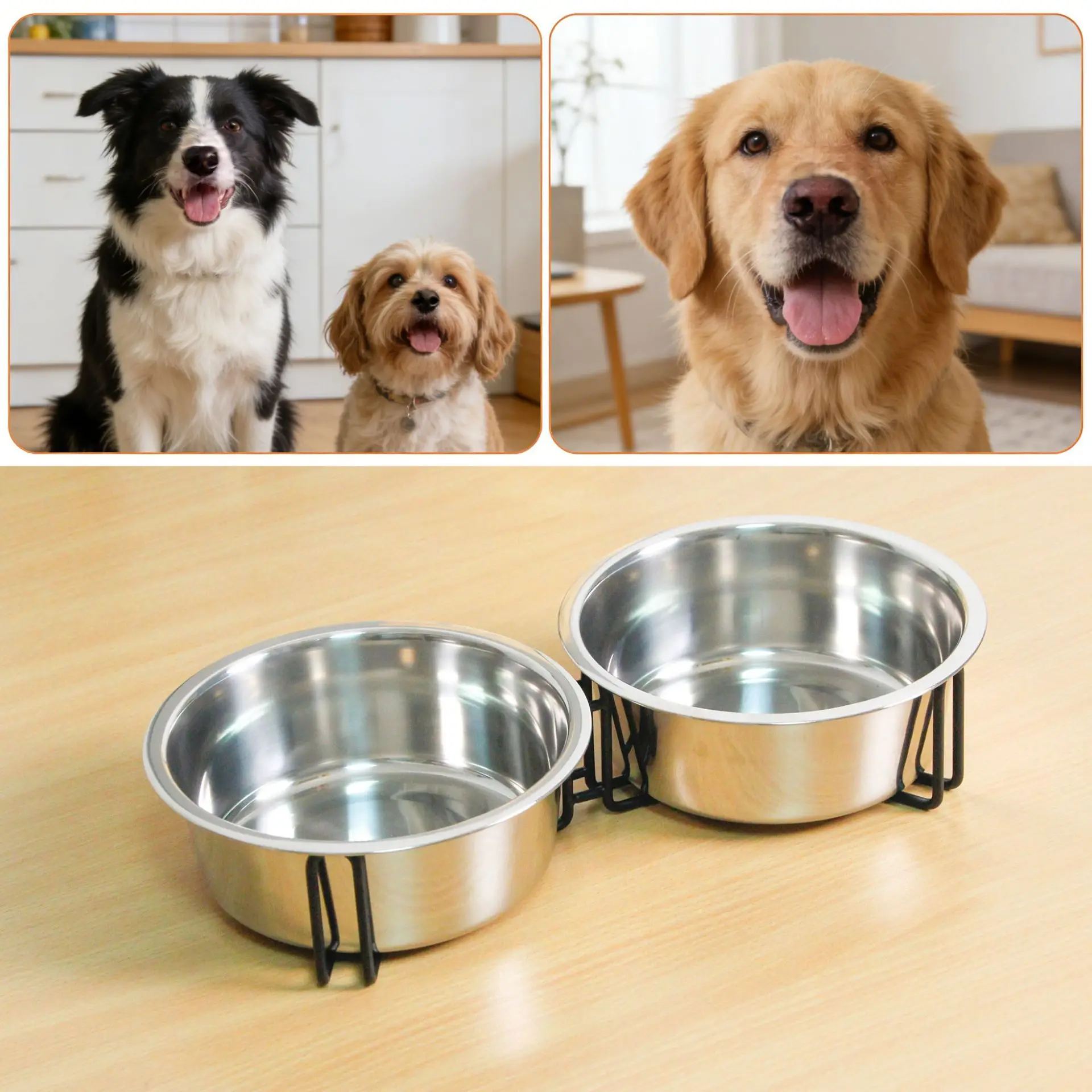 Stainless steel double bowl pet food rack, non-slip and anti-knock universal pet cat food feeder for cats and dogs