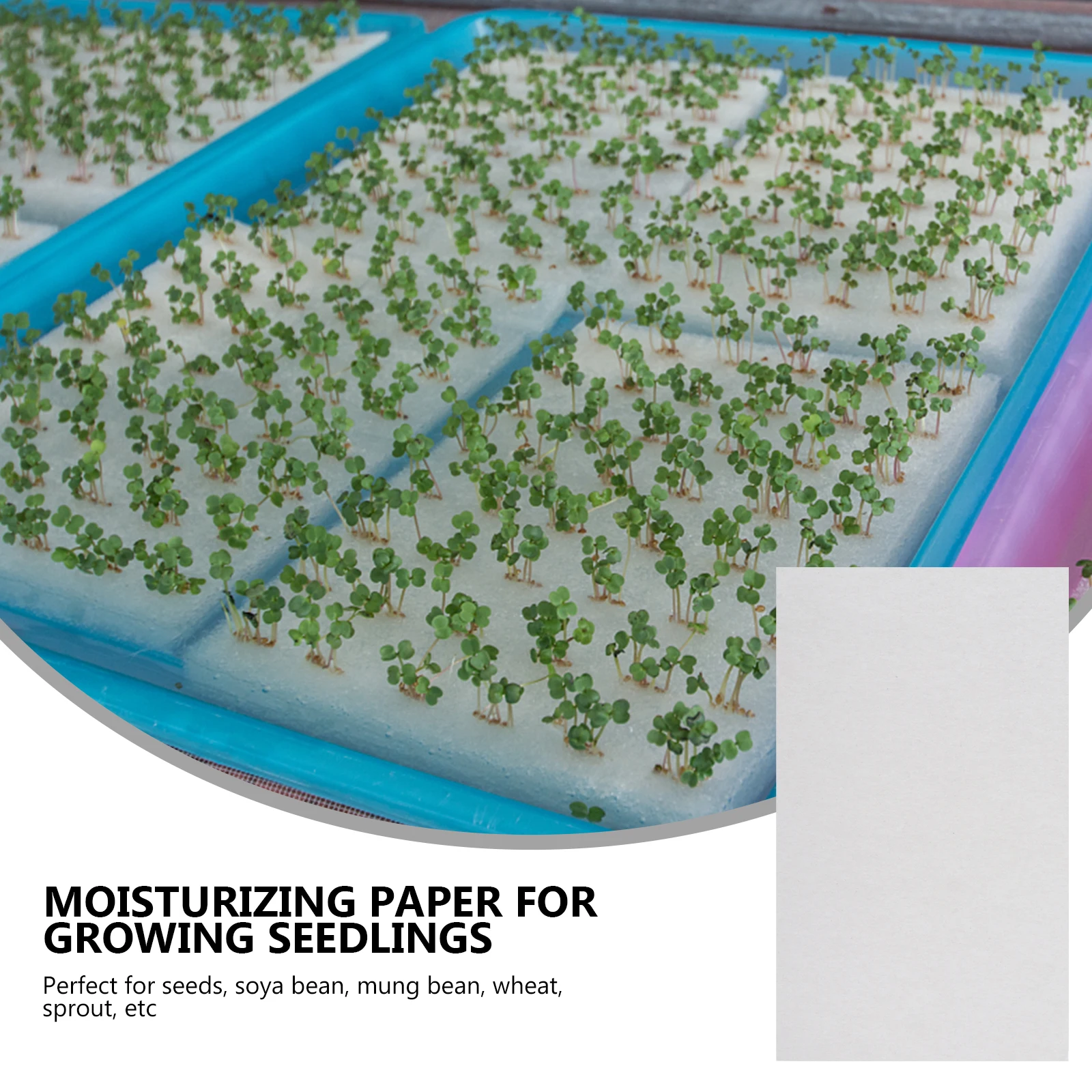 

150pcs Planting Paper for Seeds Soybean Mung Bean Wheat Sprout Germinating Kit Durable Harmless Odorless Gardening Supplies