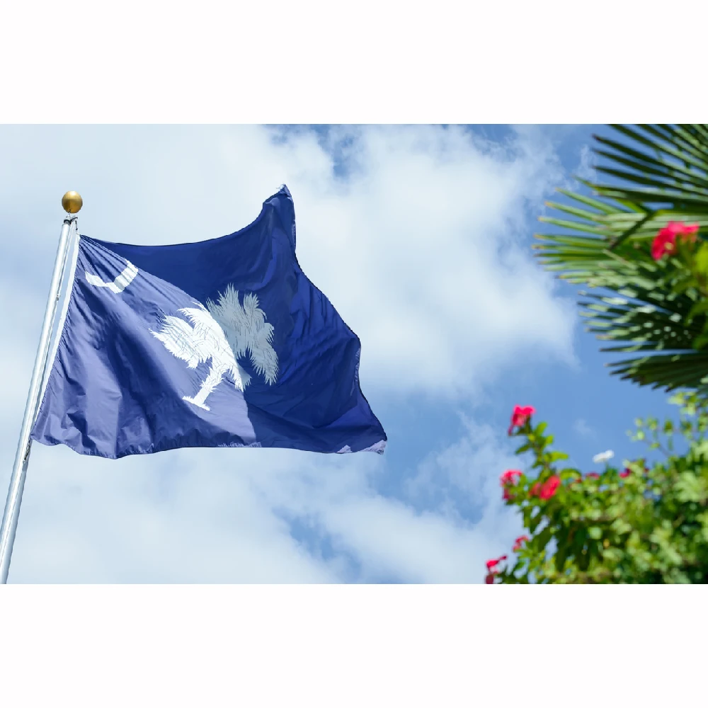 FLAGLINK Bandera Carolina del Sur estado EE.UU. para exterior - imagen 3