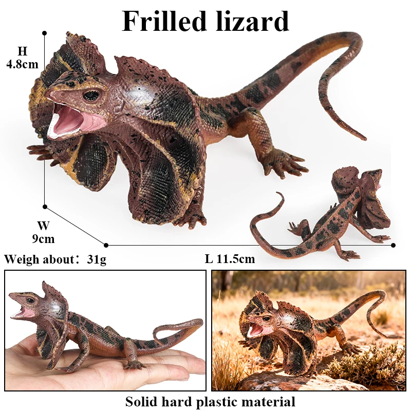Oenux Reptile Animals Wild Chameleon Lizard Lguana Thorny Devil