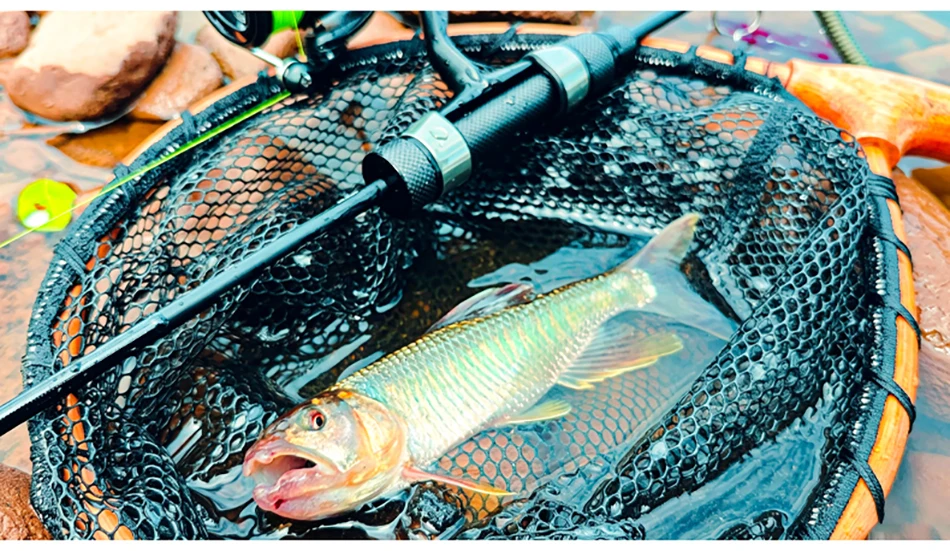 TSURINOYA Forellenrute S702L Gewicht 76g VIRENT 2,10m L Aktion RF FUJI Ringe Tubular Spitze BFS Rute Spinning Casting Carbonrute – Detail 21