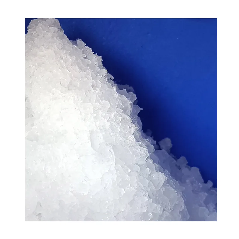 Food Processing Ice Making Machine Snowflake Machine Pure Water Ice Maker 80kg 100kg