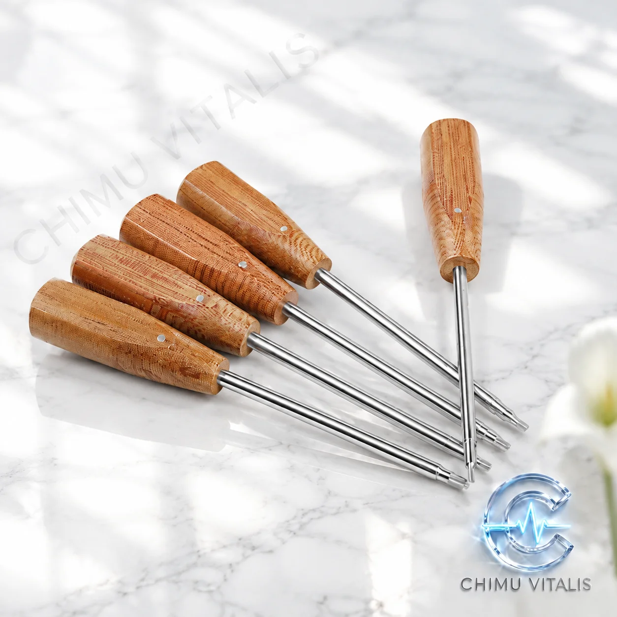 【CHIMU VITALIS】 Wooden-Handle Stainless Steel Multi-Tip Screwdriver Tool