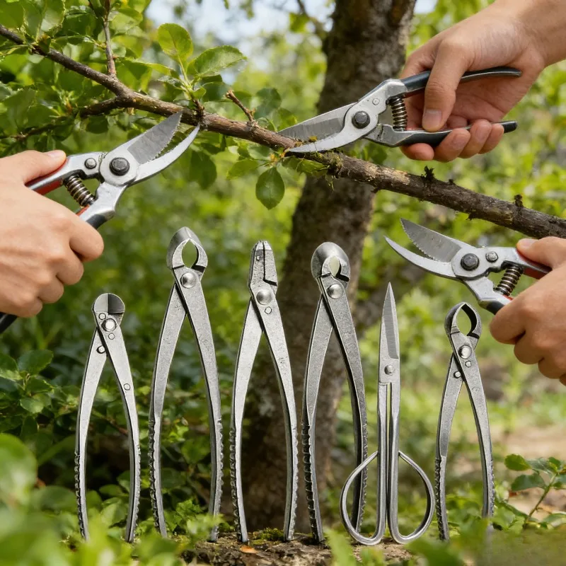 

Высококачественный набор инструментов для бонсай: вогнутый секатор для обрезки веток и почек деревьев