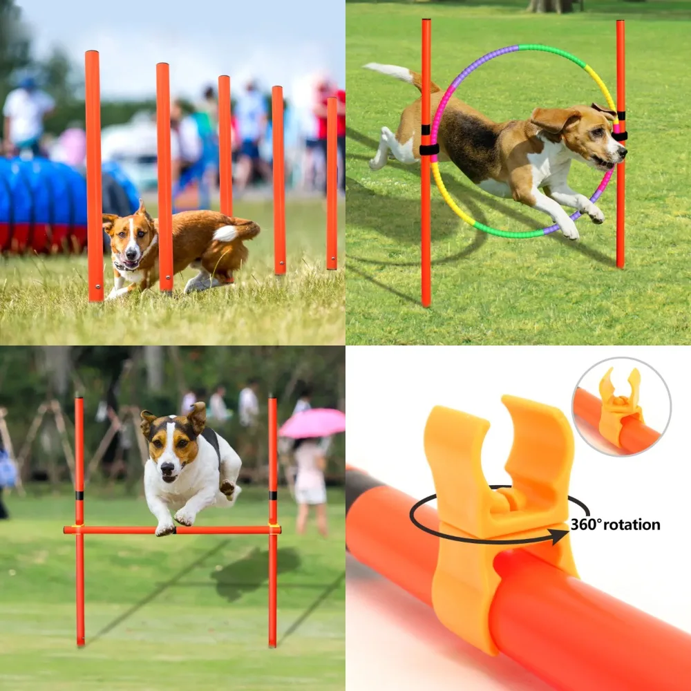 

Portable and Durable Dog Training Equipment for Jumping and Running - Outdoor Sports Stakes Pole for Agility Training - Stake To