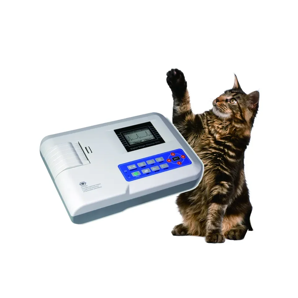 

High quality animal ECG 3 channel portable VET electrocardiogram machine monitor veterinary ECG