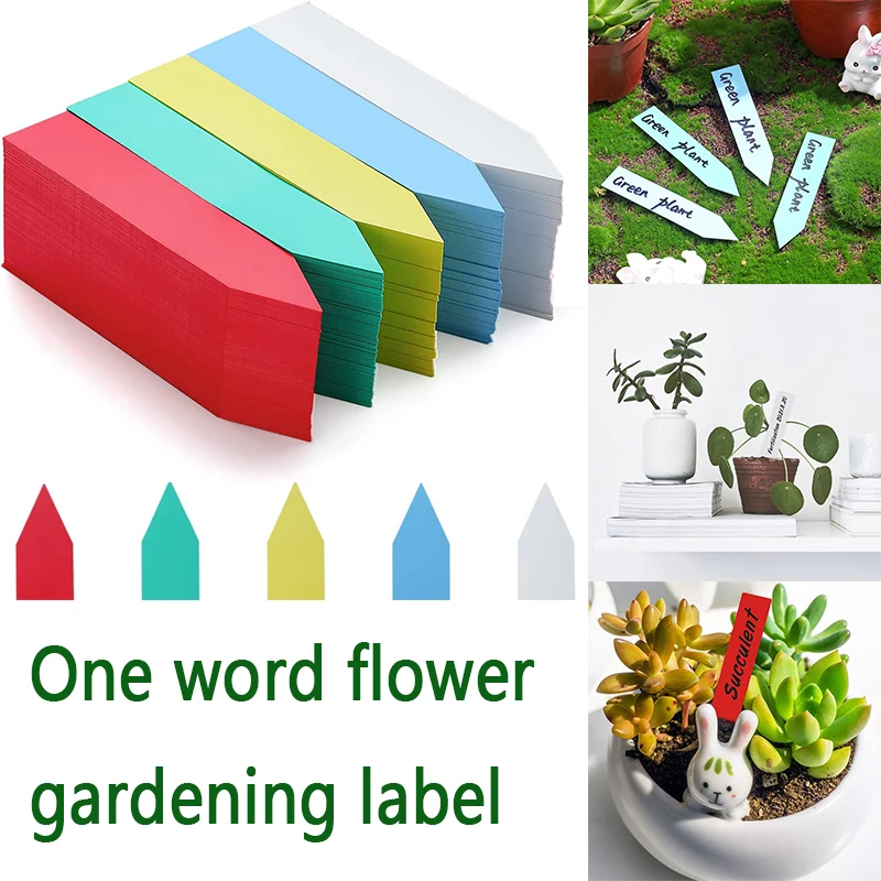 

100 PCS PVC Gardening Label Flower Gardening Label Succulent Plant Label Plastic Insert Ground Sign Succulent One Word Labels