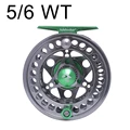 5 6 WT