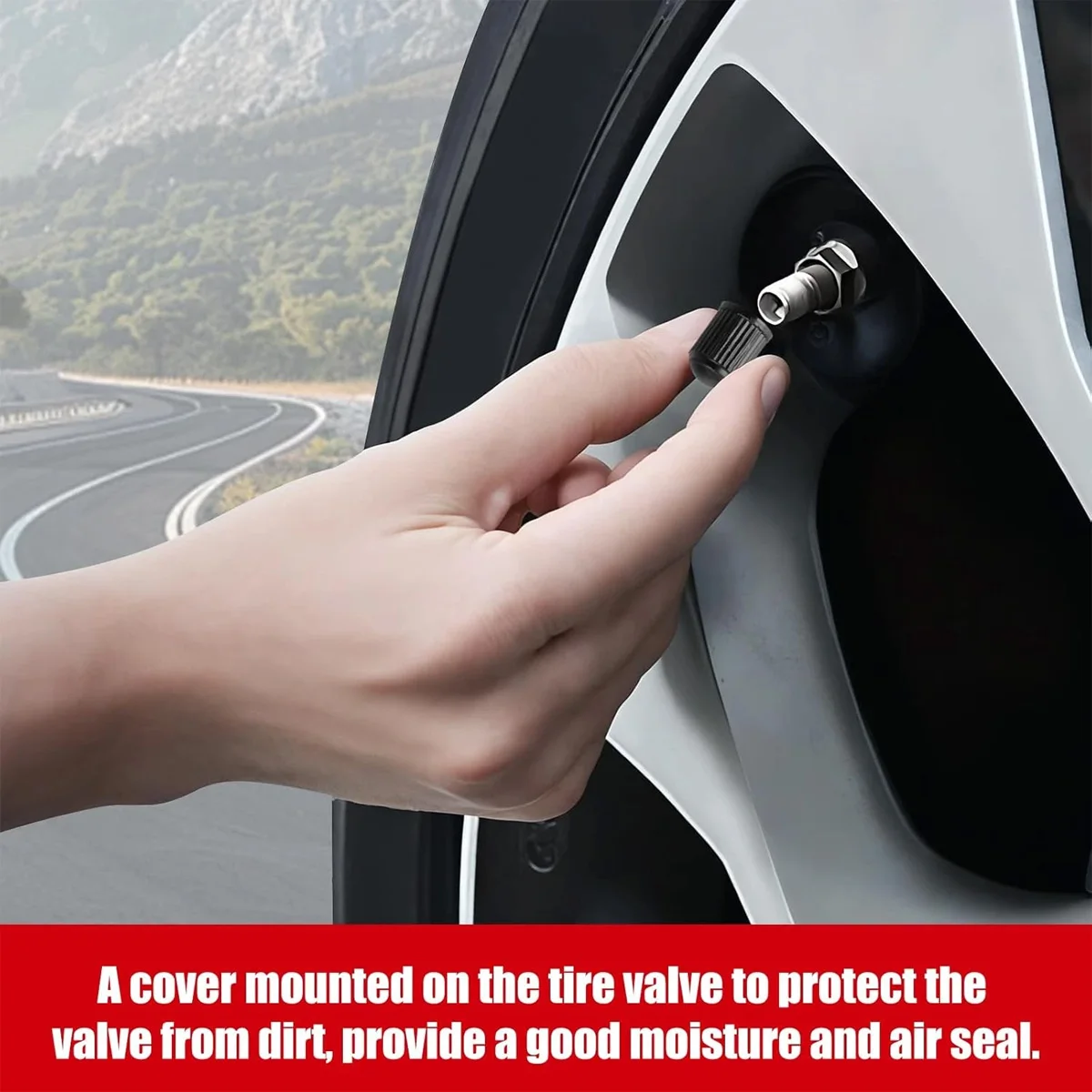 PINMOAP Tire Valve Stem Caps Universal Air Valve Caps Dust Proof Leakproof Covers with Rubber Seal for Car SUV Bike 10-100PCS