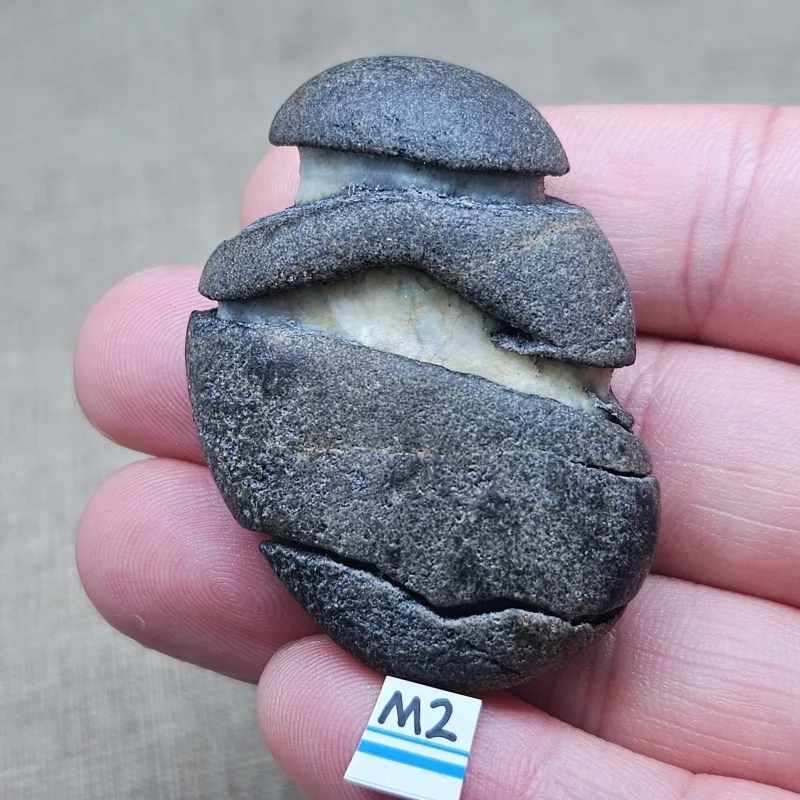 Rare Natural Stone Witchcraft Energy Gem Reiki Healing Feng Shui Home Decoration Ofice Desk