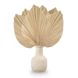 6PCS Dried Palm Leaves Natural Dried Palm Fans,Large Palm Spear For Boho Wedding Decor,Tropical Palm Leaves Decoration Durable S
