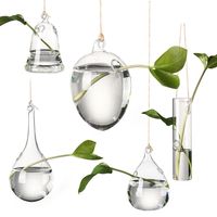 Cute Bulb/Birds/Angel/Peach/Water Droplets Eye-catching Glass Vase Transparent Hanging Glass Hydroponics Plant Pot Container