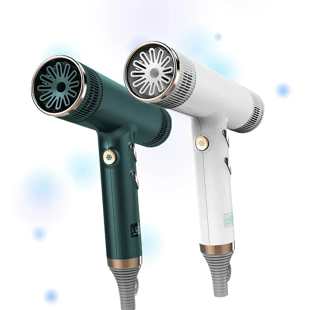 2024 Professional Hair Dryer 1600 W 113000 RPM High Power Salons Hair Dryers Brushless Motor Low Noise Household Hair Dryer