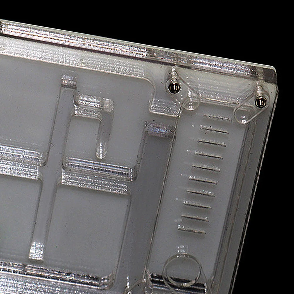 

Acrylic Ant Nest Scientific Design Warm Comfortable Home for Ants Rotating Lid Fix Open Easy to Use Clean Breeding Feeding Box