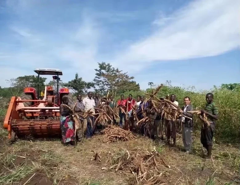 Tagrm Double Rows Peanut & Sweet Potato Harvester Cosechadora De Yuca Moissonneuse Manioc Cassava For Harvesting Nuts Roots