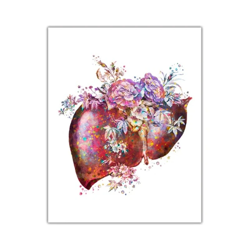 2026 Colorful Anatomy Art Medical Canvas Painting Floral Organs Heart Lung Poster Print Education Hospital Wall Pictures Home D