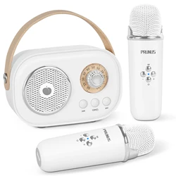 Potunus C20 Mini Karaoke Machine altoparlante Bluetooth portatile microfono Wireless 6 modalità per regali di compleanno per feste per bambini ragazze ragazzi