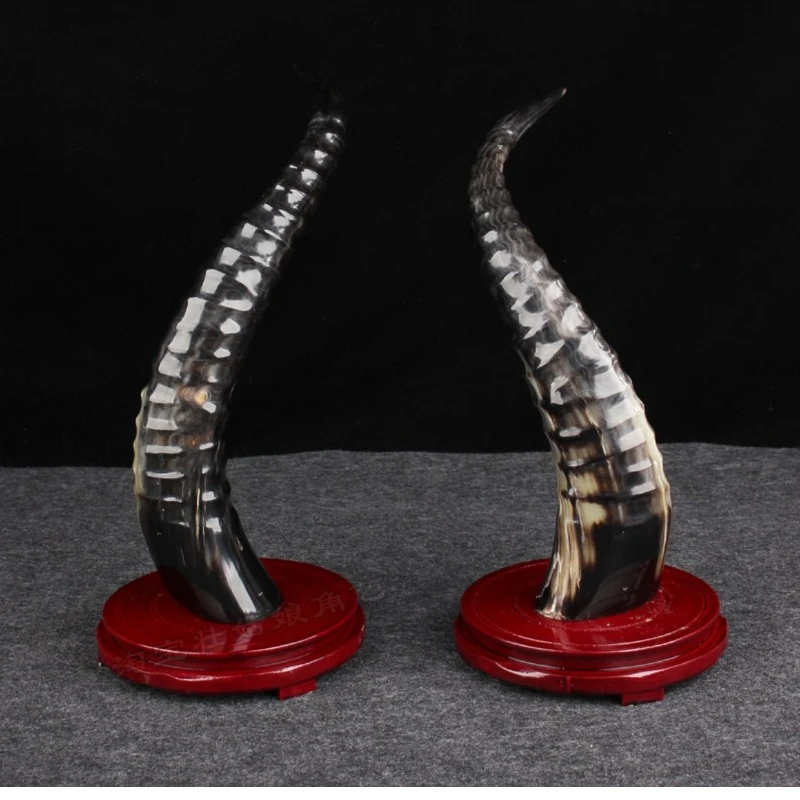 Real Bull Horn Decoration Home Decoration Living Room Decoration Gift Sculpture Home Decoration Accessories Gothic Decor