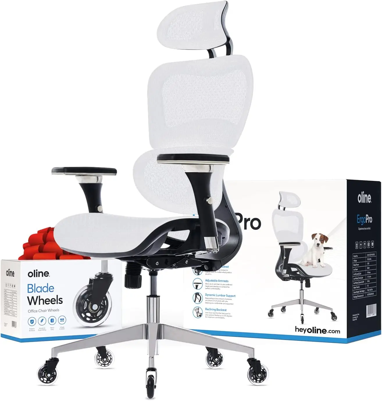 ErgoPro Ergonomic Office Chair - Rolling Desk Chair w/ 4D Adjustable Armrest, 3D Lumbar Support and Blade Wheels (White)