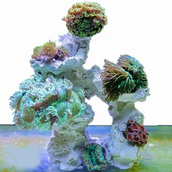 Marine Aquarium Stone Reef Coral Tank Dead Stone Microbial Landscaping Decoration Free From Algae