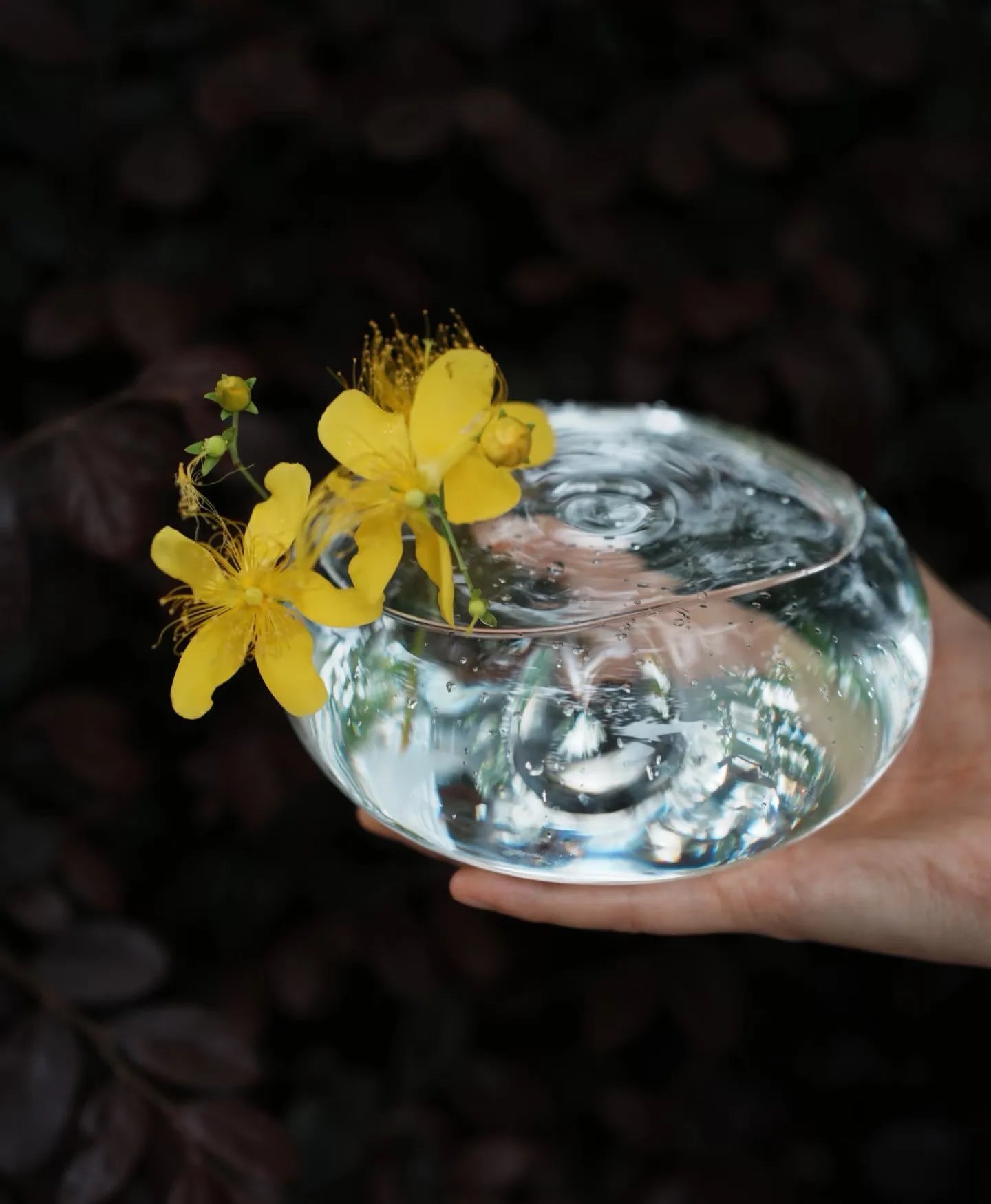 Creative Clear Spherical Glass Vase, French‑Style Round Glass Ball, Ins & Japanese‑Inspired Flower Arrangement Vessel