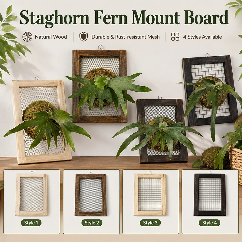 Durable Stainless Steel Mesh Wooden Staghorn Fern Board Frame, Orchid Fern Dendrobium Wall Mounted Planter Plant Hanging Shelf