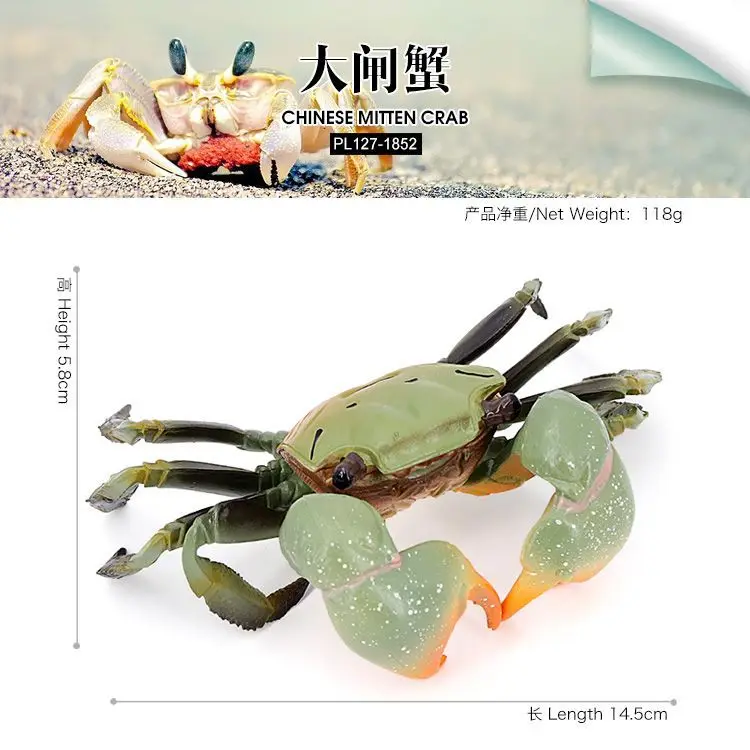 Simulated marine animal solid model hairy hairy crab children's early education cognitive toy ornament gift