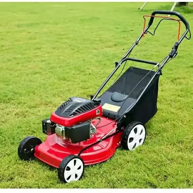 China Professional Mini Hand Pushed Gasoline Engine Petrol Grass Cutter Lawn Mower For Farm Household