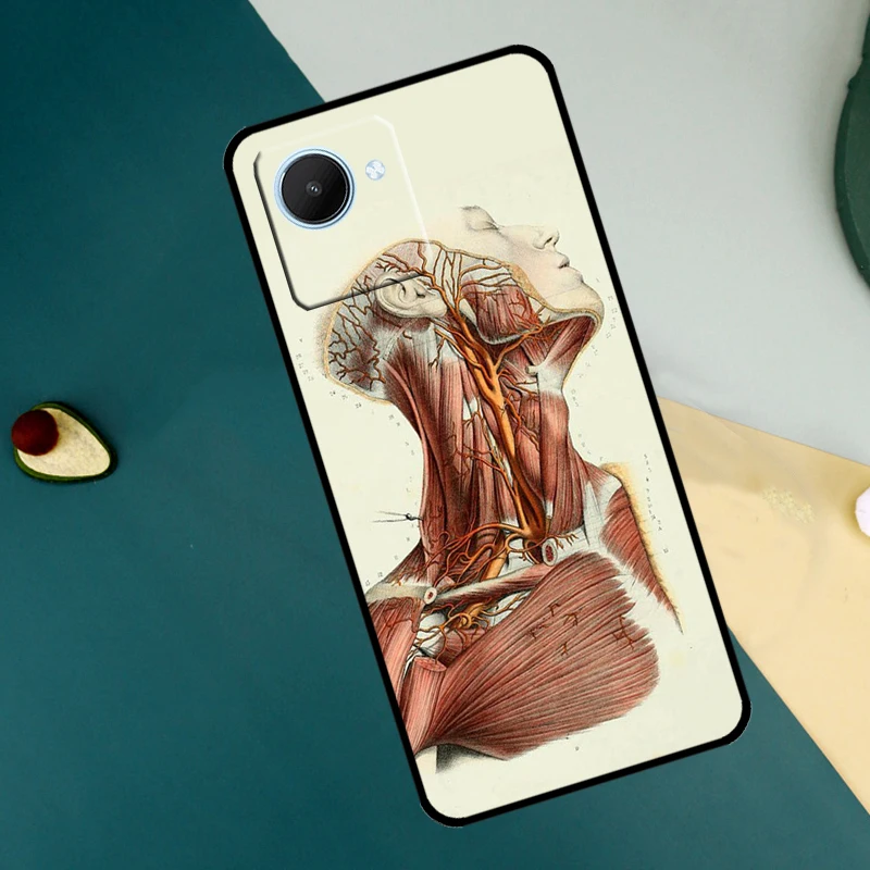 Medical Human Organs Meridian Art For Realme C53 C33 C55 C35 C31 C30 C25s C21Y C15 C11 GT Neo 5 3T 2T 9 10 11 Pro Plus Case