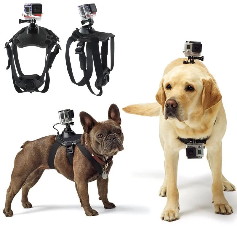 Correa ajustable para Gopro hero11, 10, 9, 8, 7, arnés para perro, cinturón de pecho, soporte de montaje para cámara deportiva, correa de hombro para perro